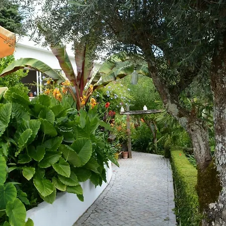 Quinta Da Granja Gardener's Lodge Coimbra